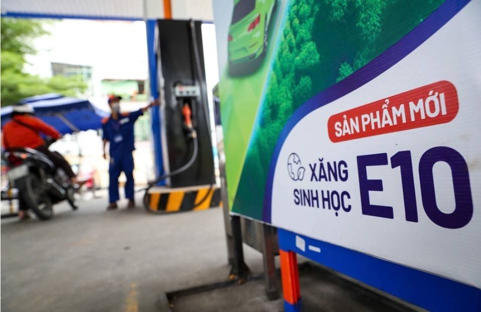 Để chủ động nguyên liệu cho xăng sinh học E10 cần có chính sách dài hạn và và chuỗi cung ứng bền vững.