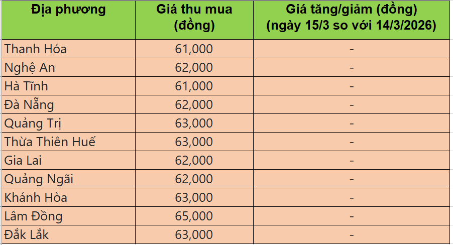 Bảng giá heo hơi tại miền Trung - Tây Nguyên hôm nay 15/3/2026