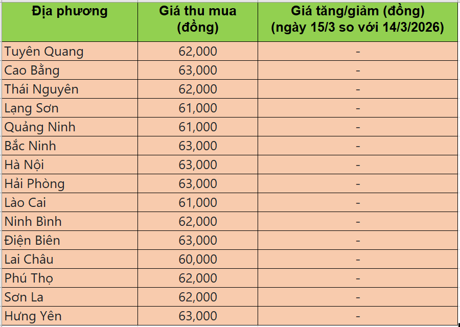 Bảng giá heo hơi tại miền Bắc hôm nay 15/3/2026
