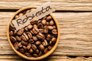 Việt Nam dẫn dắt đà tăng xuất khẩu cà phê robusta toàn cầu
