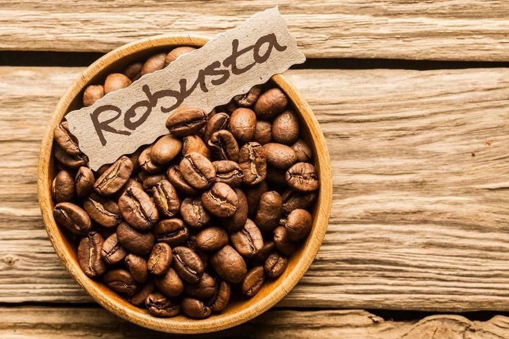 Việt Nam dẫn dắt đà tăng xuất khẩu cà phê robusta toàn cầu