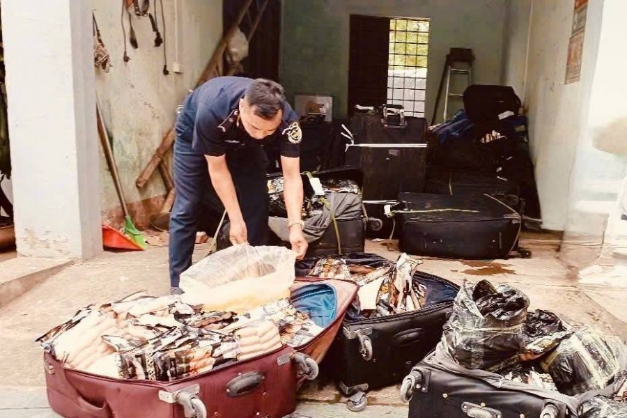 Hải quan phát hiện, ngăn chặn hơn 1,8 tấn thực phẩm đông lạnh nhập lậu tại biên giới phía Bắc