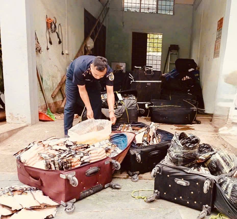 Hải quan phát hiện, ngăn chặn hơn 1,8 tấn thực phẩm đông lạnh nhập lậu tại biên giới phía Bắc