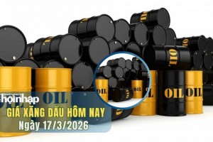 Giá xăng dầu hôm nay 17/3/2026: Giá dầu thế giới giảm, xăng dầu trong nước giữ ổn định