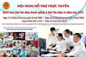 Cục Thuế tổ chức hội nghị trực tuyến hỗ trợ quyết toán thuế năm 2025