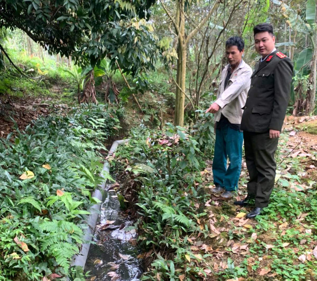 Phú Thọ: Phạt 107 triệu đồng cơ sở chăn nuôi gây ô nhiễm tại Đoan Hùng