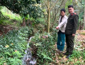 Phú Thọ: Phạt 107 triệu đồng cơ sở chăn nuôi gây ô nhiễm tại Đoan Hùng