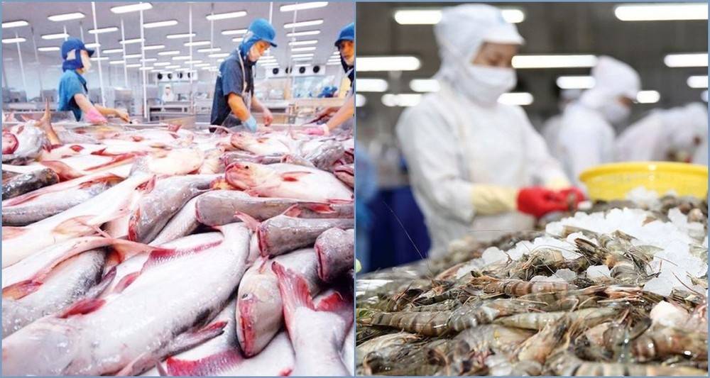 Brazil, “cửa ngõ” mới cho hàng hóa xuất khẩu Việt Nam