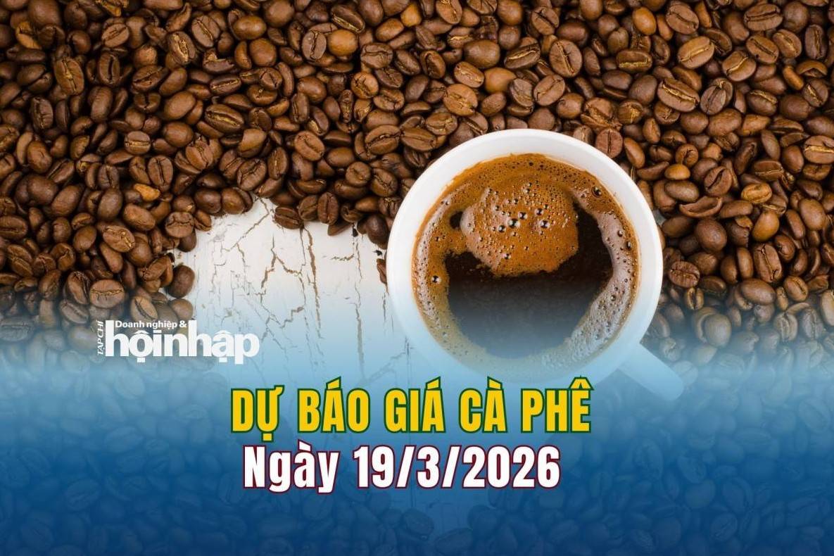 Dự báo giá cà phê 19/3: Cà phê trong nước đồng loạt tăng "vọt"