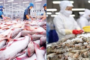 Brazil: “Cửa ngõ” mới cho hàng hóa xuất khẩu Việt Nam