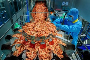 VASEP: Thủy sản Việt Nam mở rộng xuất khẩu tới 97 thị trường, kim ngạch tăng 20%