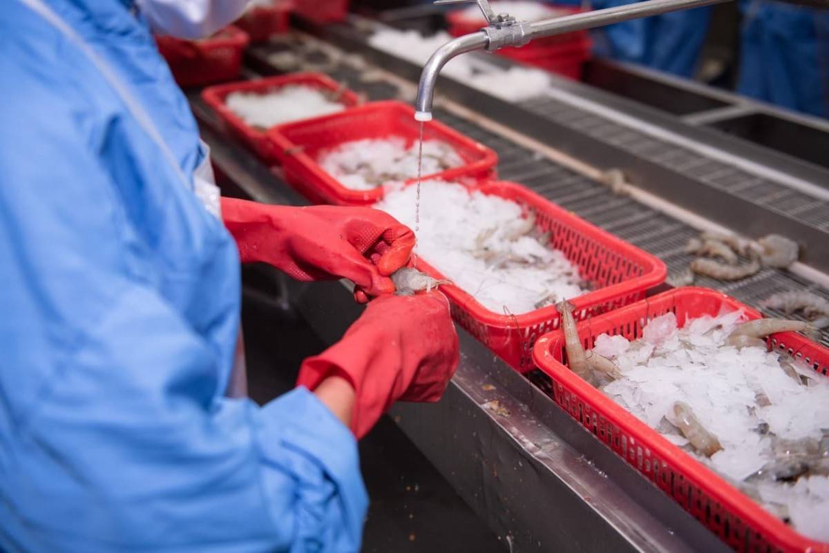 VASEP: Thủy sản Việt Nam mở rộng xuất khẩu tới 97 thị trường, kim ngạch tăng 20%