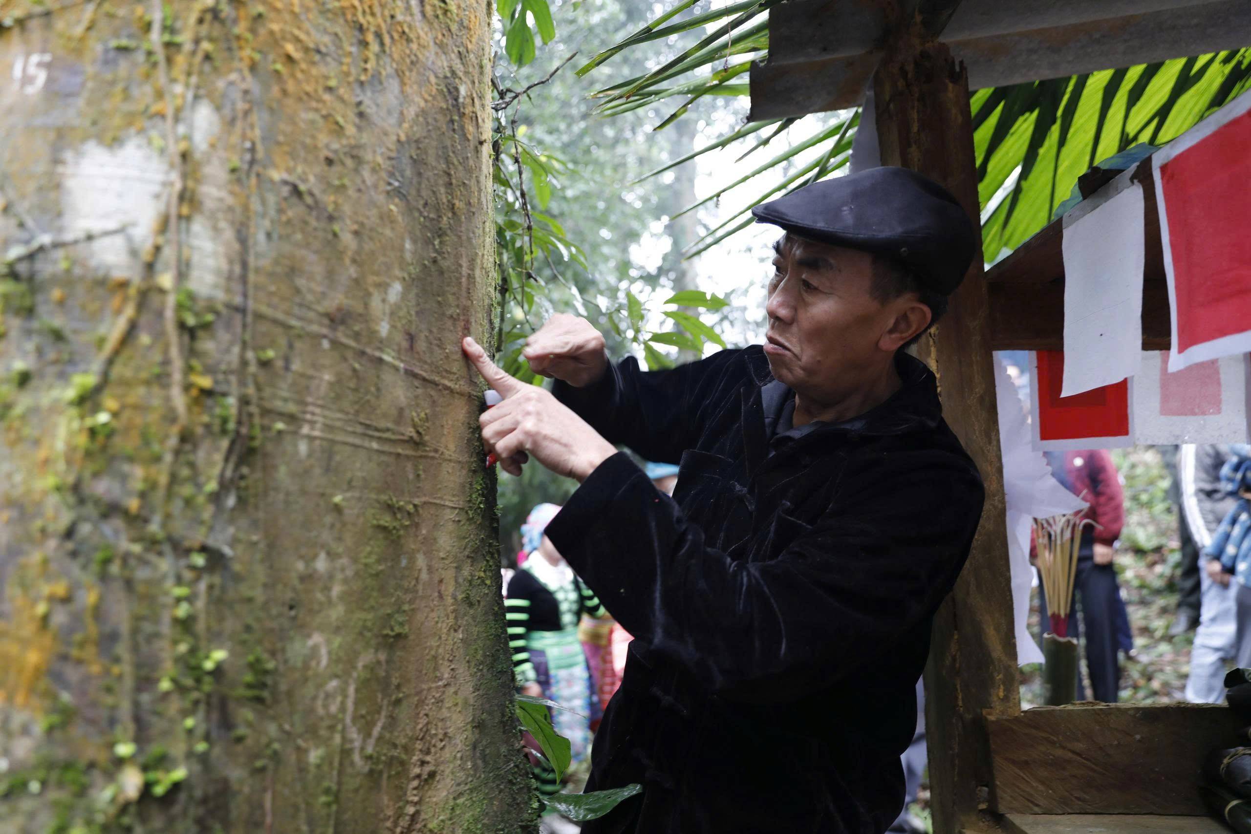Lào Cai: Tết rừng Nà Hẩu - Hành trình chạm vào linh thiêng và sắc màu văn hóa Mông