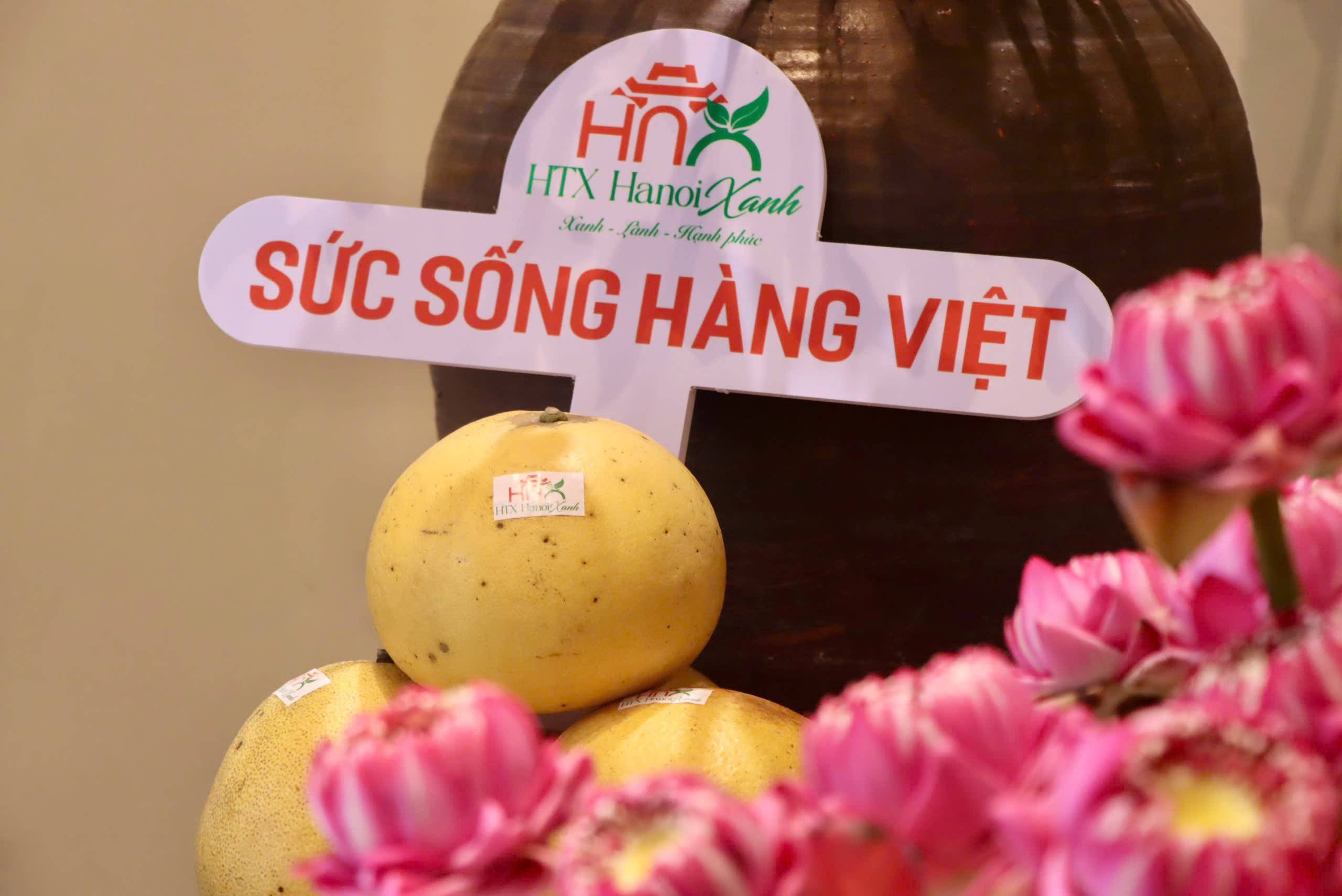 Khai mạc “Sức sống hàng Việt” lần 3: Kết nối doanh nghiệp và người tiêu dùng