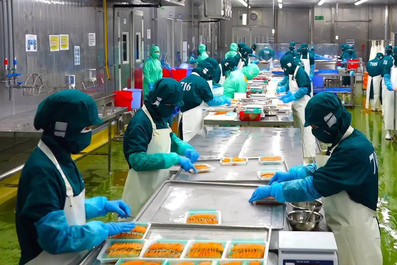 Xuất khẩu thủy sản sang Bắc Âu bắt buộc qua hệ thống CATCH từ 2026