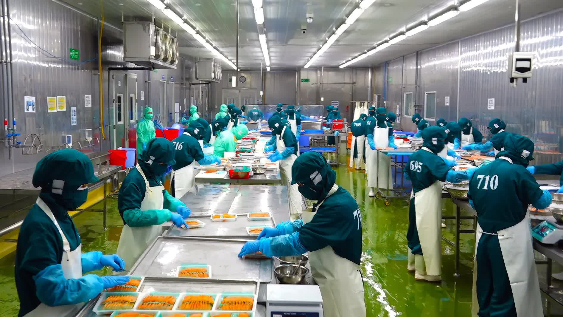 Xuất khẩu thủy sản sang Bắc Âu bắt buộc qua hệ thống CATCH từ 2026