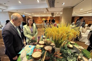 Xuất khẩu gạo vào giai đoạn tăng tốc: Mở rộng hạn ngạch, đẩy mạnh quảng bá quốc tế