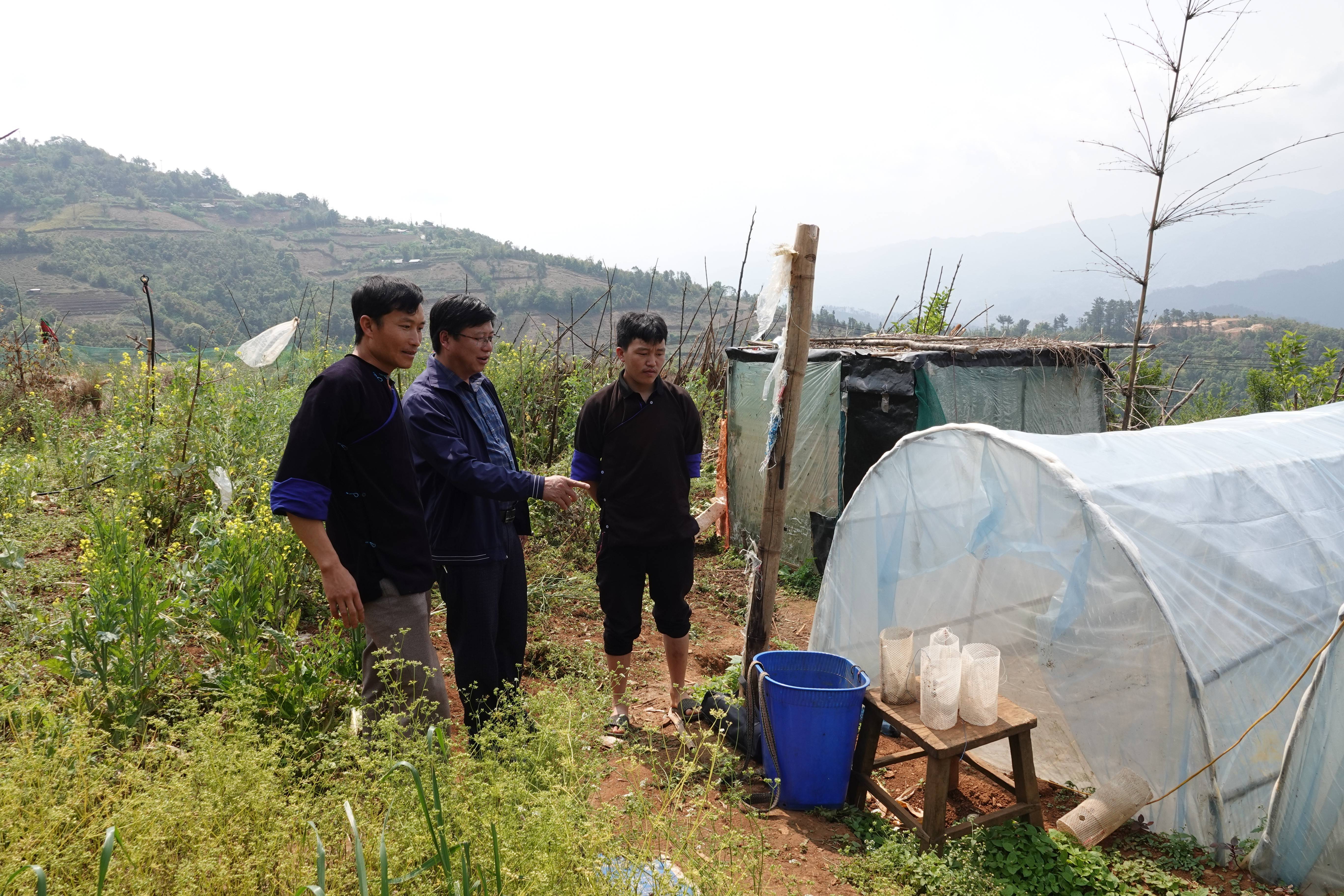 Nuôi ong đất ở Lào Cai: Từ sinh kế “liều lĩnh” đến hướng giảm nghèo bền vững