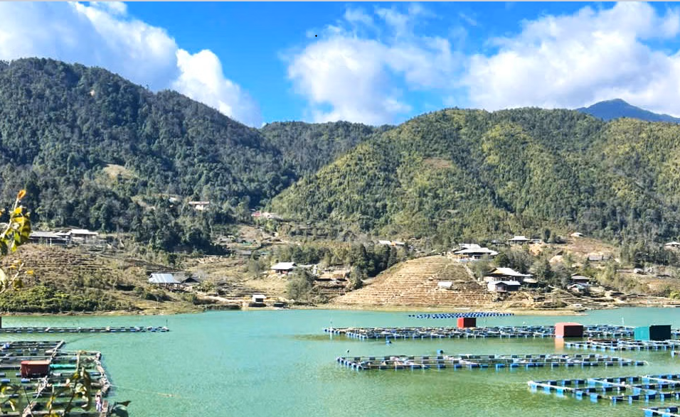 Lào Cai: Yêu cầu xử lý dứt điểm ô nhiễm hồ Séo Mý Tỷ (xã Tả Van) và di dời lồng bè đúng lộ trình