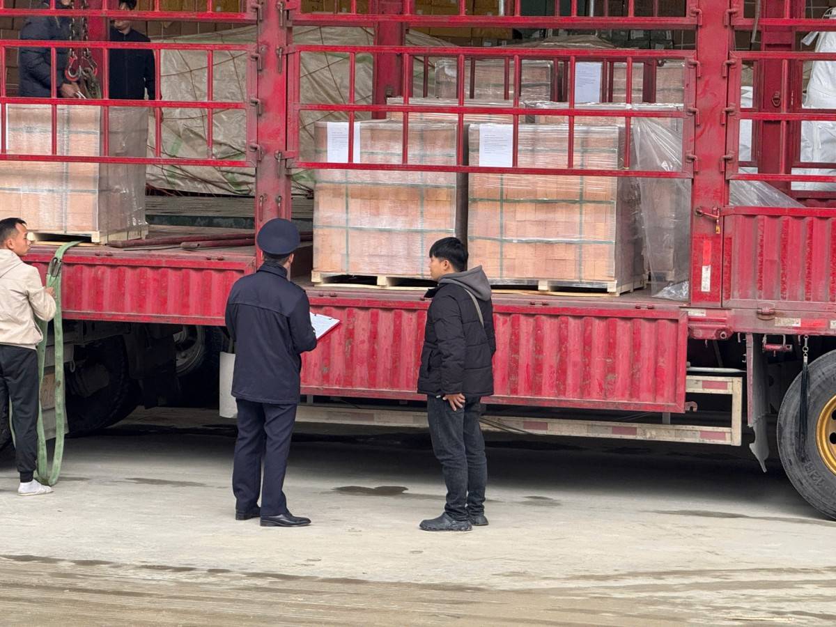 Thường trực Chính phủ thống nhất tiếp tục tạm ngưng Nghị định 46 và Nghị quyết 66