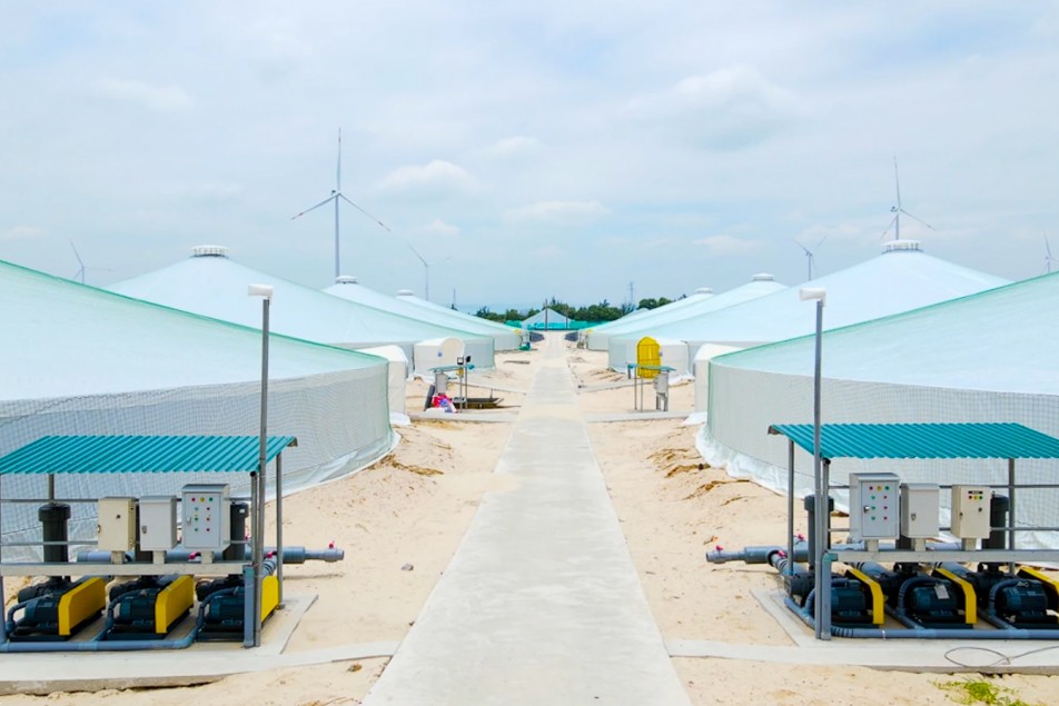 Nuôi tôm công nghệ cao mở hướng phát triển bền vững trên vùng cát ven biển Quảng Trị