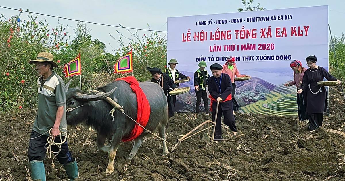  Ông Nguyễn Văn Hoan, Bí thư Đảng ủy xã Ea Kly (người cầm cày) cùng thực hiện nghi thức xuống đồng tại lễ hội.