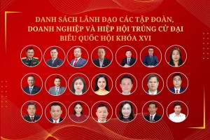 Danh sách lãnh đạo các tập đoàn, doanh nghiệp và hiệp hội trúng cử đại biểu Quốc hội khóa XVI