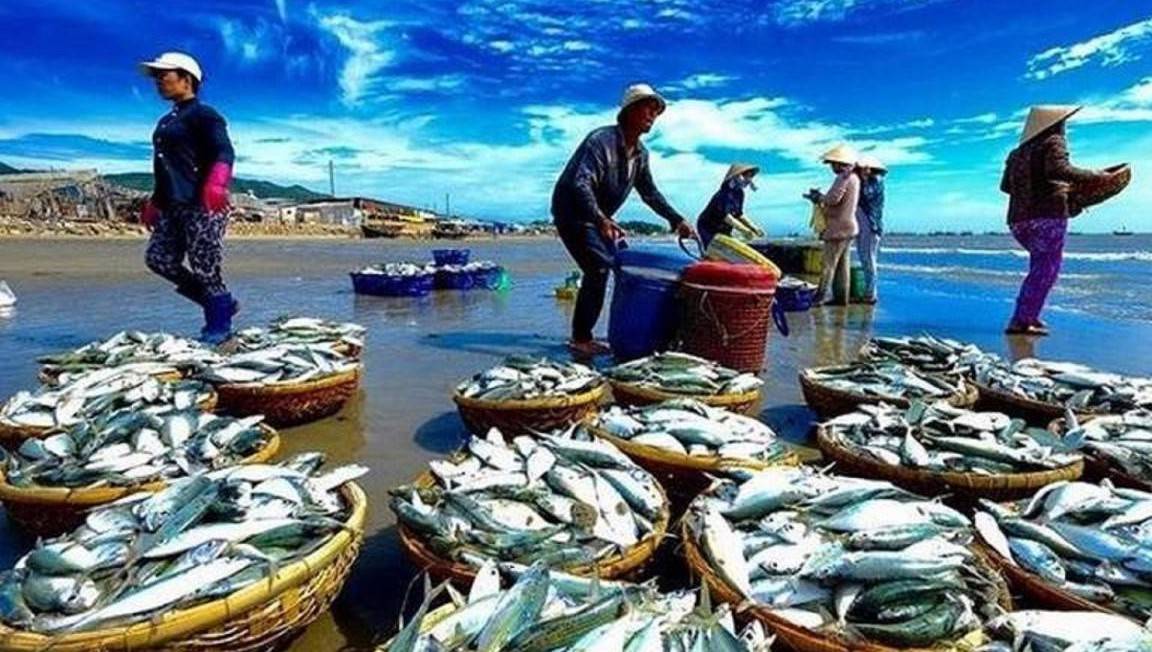 Các nhà mua hàng Châu Âu đang trở lại tìm kiếm thủy sản Việt Nam