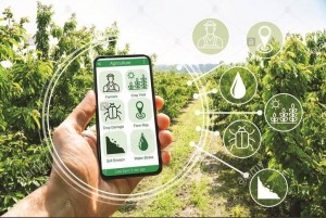 Chuyển đổi số doanh nghiệp nhỏ và vừa sẽ tạo động lực tăng trưởng cho nền kinh tế