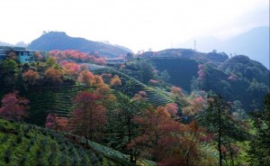 Si Ma Cai đánh thức tiềm năng du lịch, mở không gian đầu tư vùng cao Lào Cai