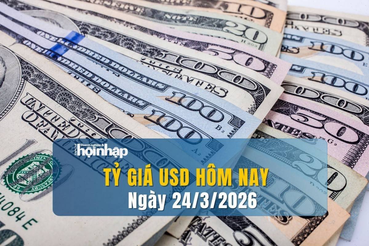 Tỷ giá USD hôm nay 24/3/2026: Đồng USD tiếp tục giảm