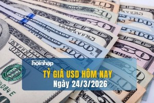 Tỷ giá USD hôm nay 24/3/2026: Đồng USD tiếp tục giảm