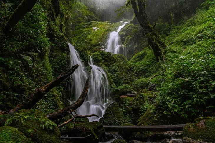 Rừng nguyên sinh và hệ sinh thái phong phú