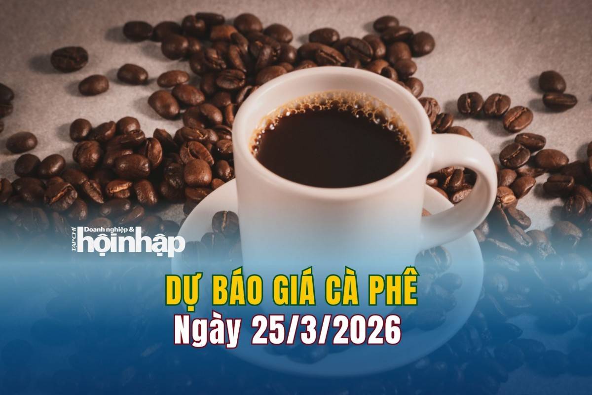 Dự báo giá cà phê 24/3: Cà phê trong nước tiếp đà tăng cao