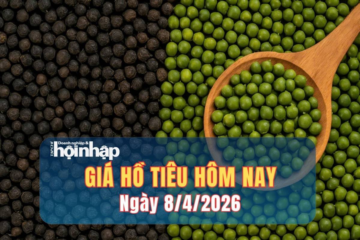 Giá tiêu hôm nay 7/4/2026: Thị trường tiêu trong nước duy trì ổn định chờ sóng mới