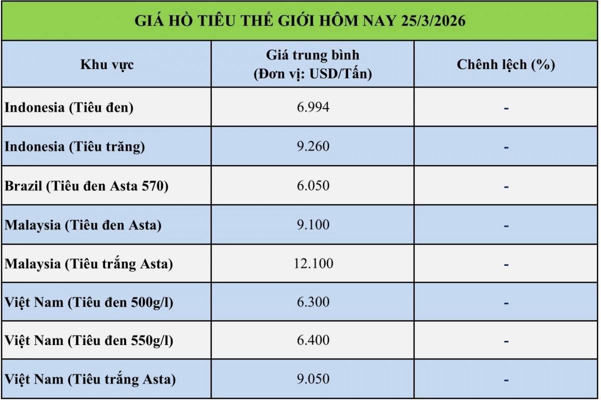 Giá tiêu hôm nay 25/3/2026: