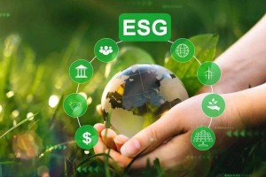 Doanh nghiệp Việt “chạy đua” chuyển đổi xanh để giữ thị trường xuất khẩu