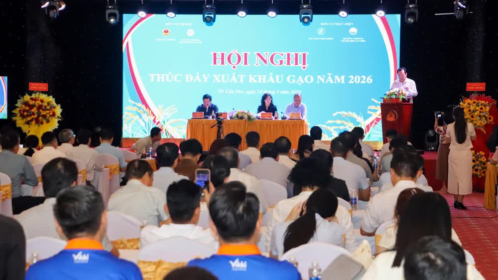 Xuất khẩu gạo 2026 đối mặt “cơn gió ngược”: Áp lực giảm giá, cạnh tranh tăng mạnh
