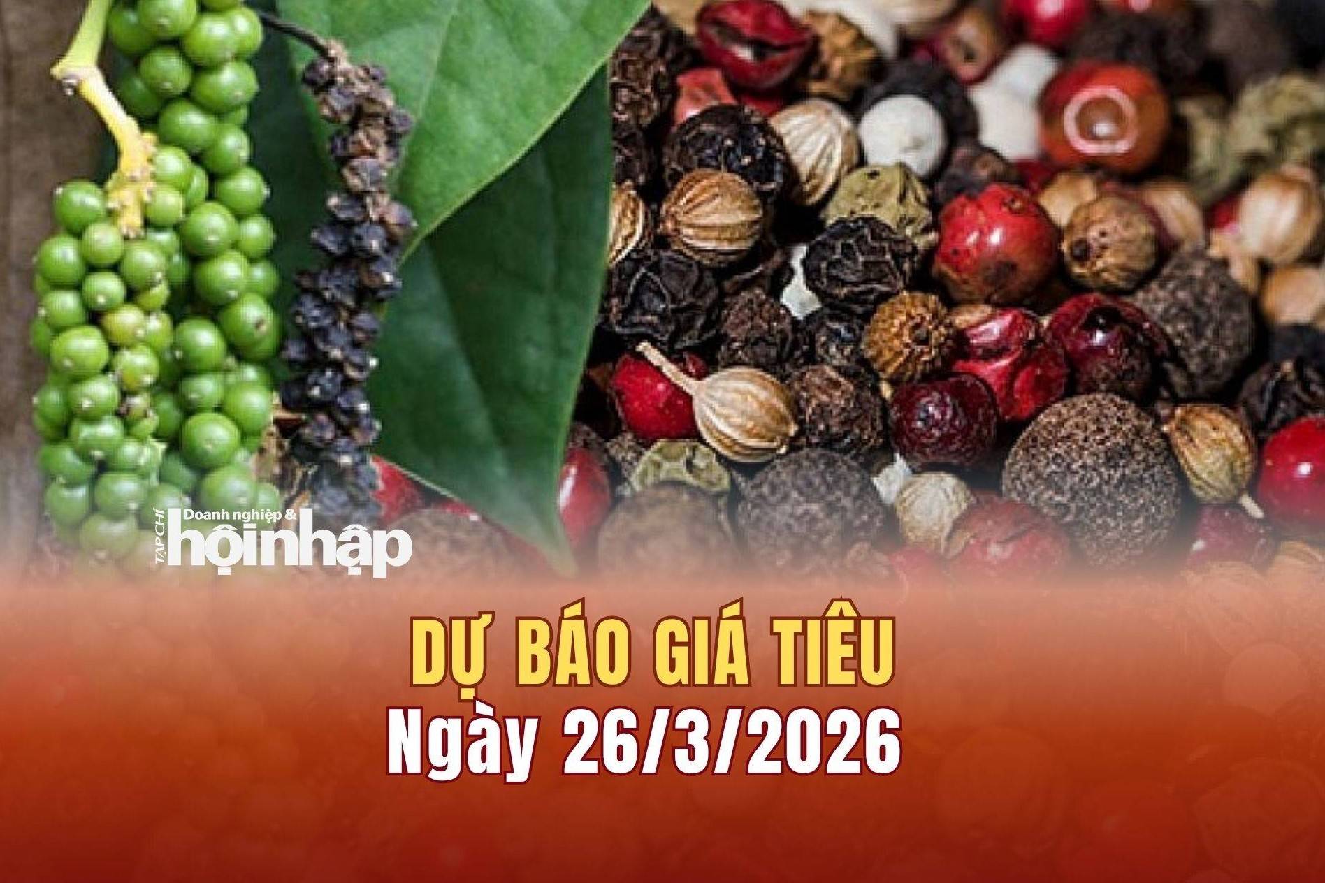 Dự báo giá tiêu 26/3: Giá tiêu trong nước và thế giới có xu hướng tăng