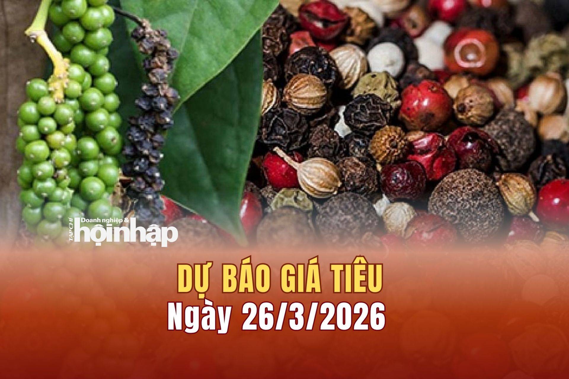 Dự báo giá tiêu 25/3: Giá tiêu trong nước tiếp đà tăng vọt