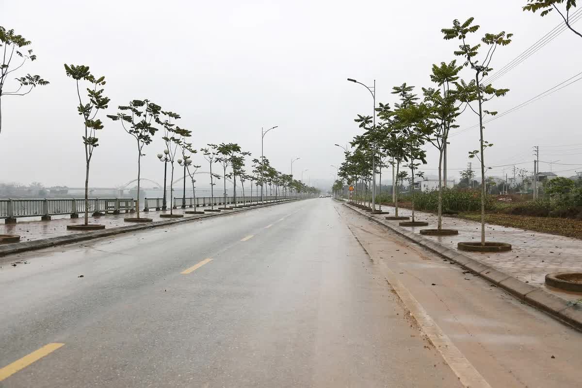 Dự án xây dựng khu dân cư nông thôn mới tại tổ dân phố Ngòi Đong 1, phường Âu Lâu, tỉnh Lào Cai đấu giá thành công thu về hơn 216 tỷ đồng. Ảnh: Thanh Ngà.