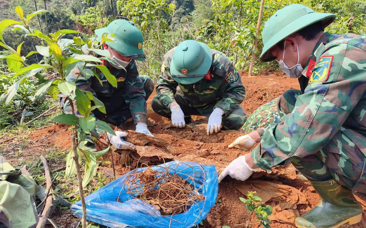 Kiên trì tìm đồng đội giữa thời bình trên đất lửa Quảng Trị