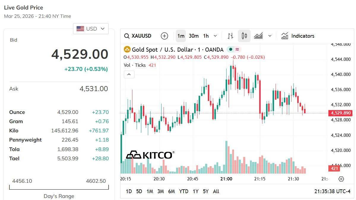 Giá vàng hôm nay 25/3: Vàng nhẫn, vàng miếng bật tăng gần 7 triệu đồng/lượng