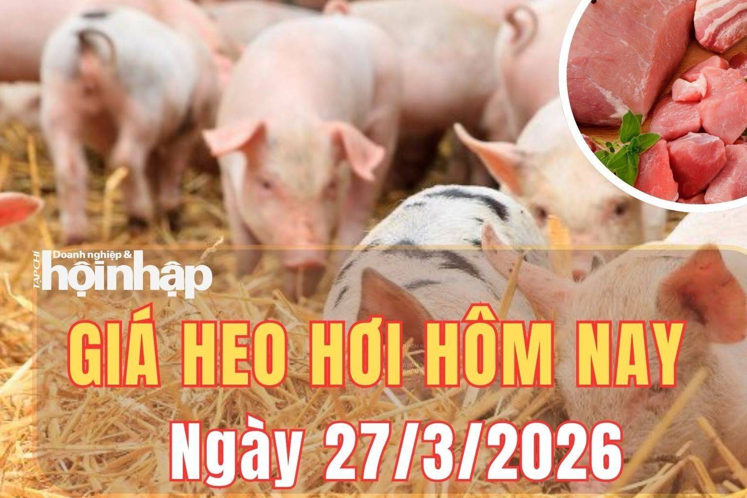 Giá heo hơi hôm nay 27/3/2026: Giá heo hơi tăng giảm trái chiều giữa các vùng miền