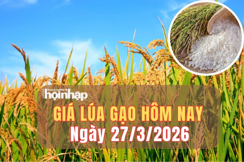 giá lúa gạo