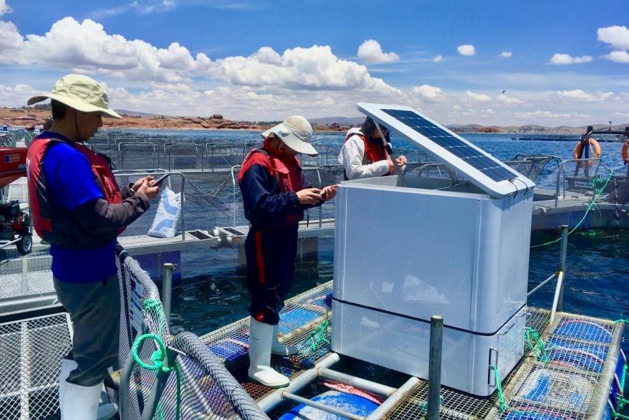 Chuyển đổi số và trí tuệ nhân tạo mở đường cho nuôi trồng thủy sản phát triển bền vững