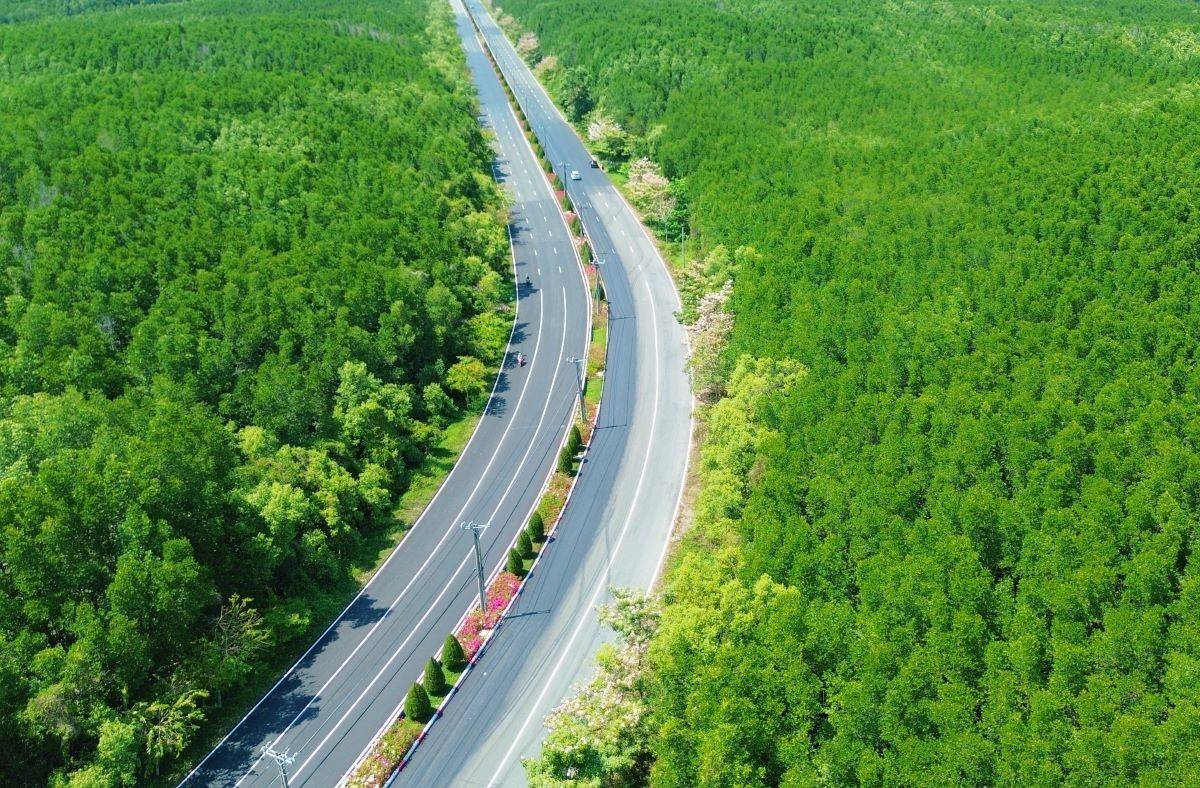 Hơn 5.000 vận động viên tham gia Vnexpress Marathon Green paradise Cần Giờ