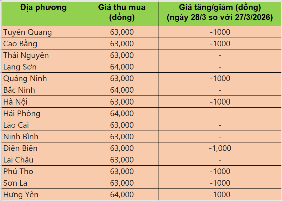 Giá heo hơi hôm nay 28/3/2026: Giá heo hơi đi ngang trên cả nước