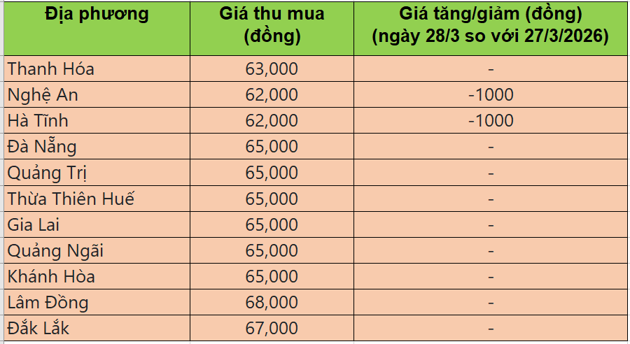Giá heo hơi hôm nay 28/3/2026: Giá heo hơi đi ngang trên cả nước
