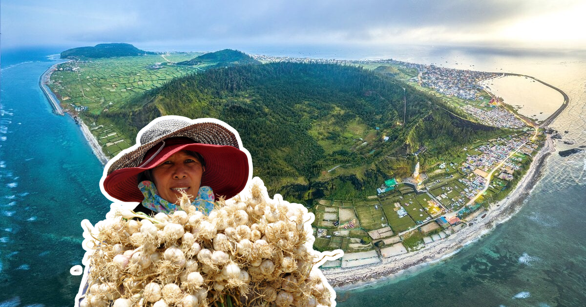 Duyên hải miền Trung, Tây Nguyên: Xanh hơn, phất hơn khi lồng ghép văn hóa và sinh thái nông nghiệp vào du lịch
